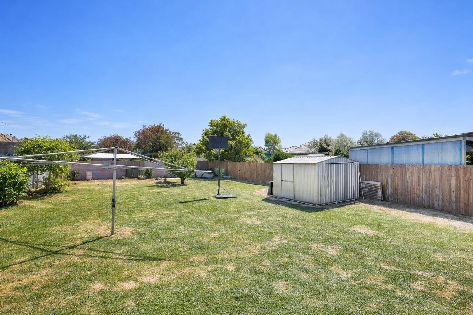 A large flat grassed backyard with a garden shed, a rotary clothesline and a basketball hoop, enclosed by timber fencing.